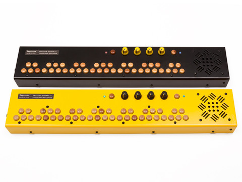 Critter and Guitari Septavox